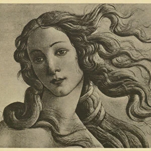 Botticelli: Venus Anadyomene, Detail (b / w photo)