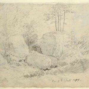 Boulders in Woodland, 1800 (pencil on paper)