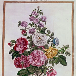 Bouquet of roses Lithography by Pierre Joseph Buchoz (1731-1807) 18th century Paris, B. N