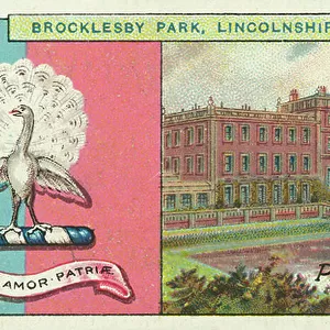 Lincolnshire Mounted Print Collection: Brocklesby