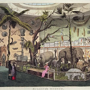 Bullocks Museum (colour engraving)