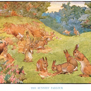 The Bunnies Parlour, illustration from Country Days and Country Ways