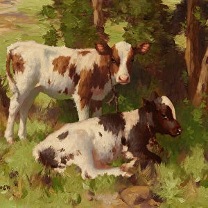 Calves In a Summer Landscape (oil on canvas)