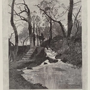 The Cascade in Hawarden Park (engraving)