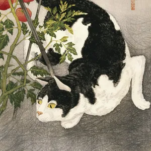 Cat Prowling Around a Staked Tomato Plant, 1931 (woodblock print)
