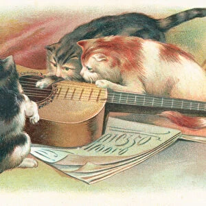 Three cats playing with an acoustic guitar (colour litho)