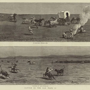 Cattle in the Far West, II (engraving)