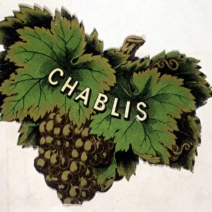 Chablis label. Chromolithography, n. d