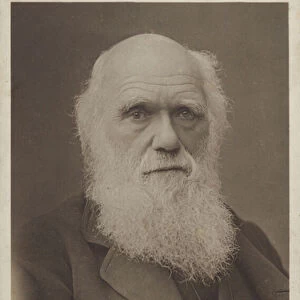 Charles Darwin (1809-1882), English naturalist (b / w photo)