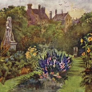 Sights Collection: Chelsea Physic Garden