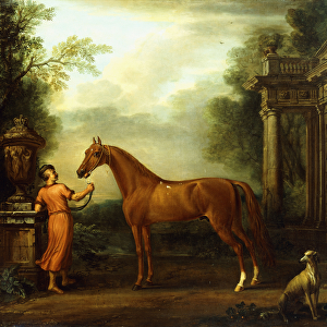 The Chestnut Arabian of Hampton Court, c. 1726 (oil on canvas)