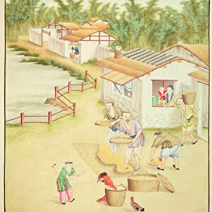 Chinese Peasants Sifting Rice (colour litho)