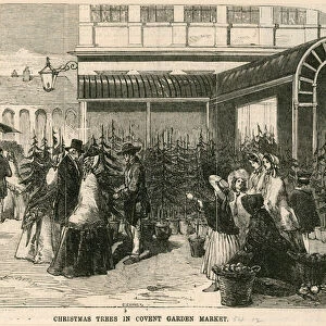 Christmas trees in Covent Garden Market, London (engraving)