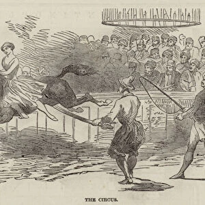 The Circus (engraving)