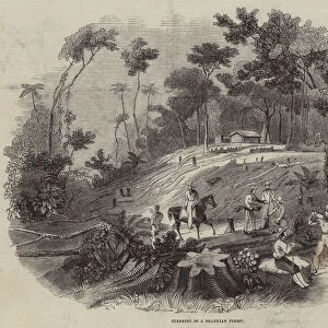 Clearing in a Brazilian Forest (engraving)