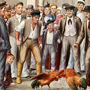 Cock-fighting in London in the late 19th century