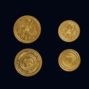 Coins from the reign of King Rama V (gold)