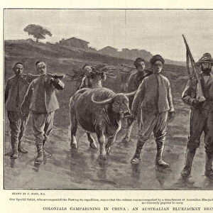 Colonials campaigning in China, an Australian Bluejacket bringing Supplies to his Camp (engraving)