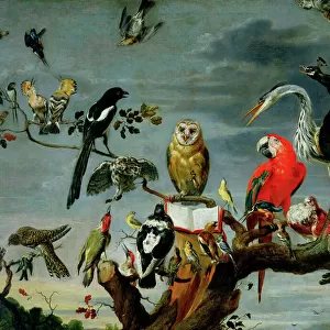 Frans Snyders or Snijders