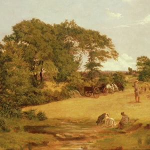 Cornfield in Essex, 1875 (oil on canvas)