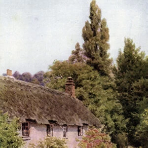 Cottages at Dunster, Somerset (colour litho)