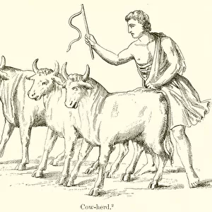Cow-Herd (engraving)