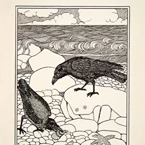 The Crow and the Mussel, from A Hundred Fables of Aesop, pub. 1903 (engraving)