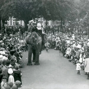 Crowds of visitors watch an elephant ride at London Zoo, August bank holiday