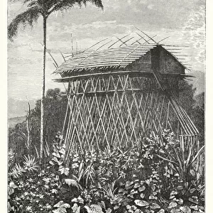 A curious house in New Guinea (engraving)