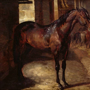 Dark Bay Horse in the stable (oil on canvas)