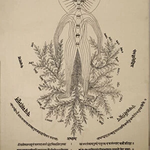 Diagram showing meridian points on the human body (litho)