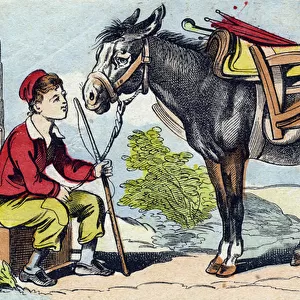 Donkey. Engraving in "Buffon Alphabet des Animaux". 3rd Series N 1