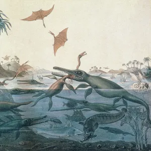 Animal Jigsaw Puzzles, Prints & Wall Art: Extinct