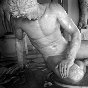 Dying Gaul, Roman copy of the Greek original (marble)