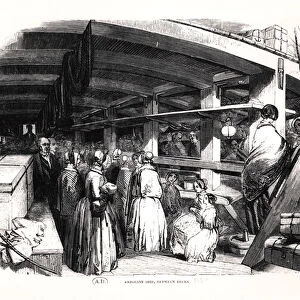 Emigrant ship, between decks, 1850 (engraving) (b / w photo)