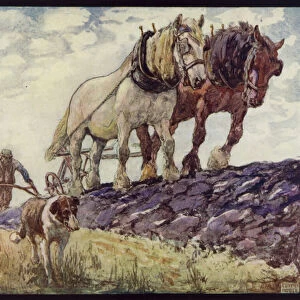 English Cart-Horses Ploughing (colour litho)