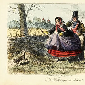 English woman in crinoline skirt trying to catch a cat during a hare hunt, 19th century