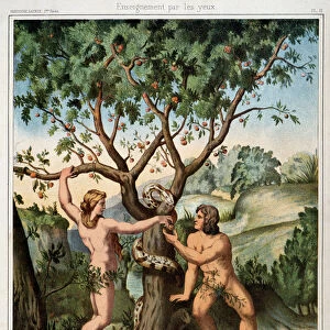 Eve Presents the Apple to Adam