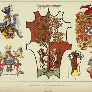 Examples of Italian and Portuguese Heraldry (colour litho)