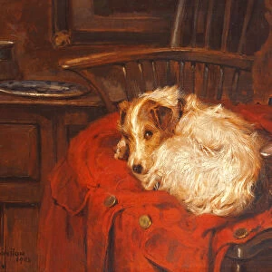A Favourite Chair, 1903 (oil on canvas)