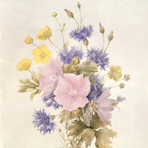 Field Flowers, 1842 (w / c on paper)