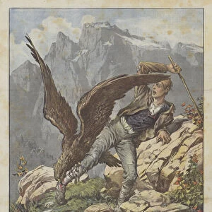 The Fight Between An Eagle And A Shepherd On The Mountain Of Zerie, Near Trieste (colour litho)