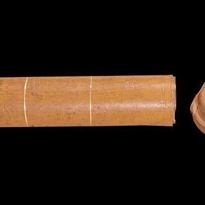 The first stethoscope, invented by Rene Laennec, in 1816