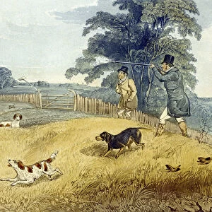 Flushing Birds, plate from Partridge Shooting