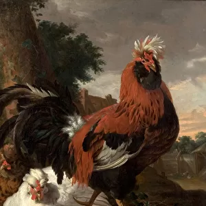 Fowl (oil on canvas)