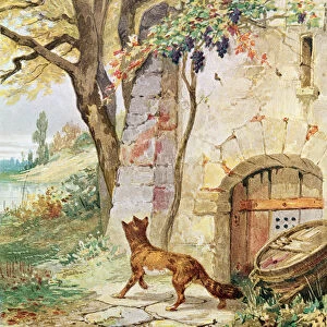 The Fox and the Grapes, illustration for Fables by Jean de La Fontaine