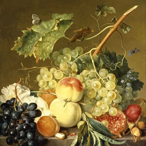 Fruit, Hazelnuts and Hollyhocks on a Marble Ledge, (oil on panel)