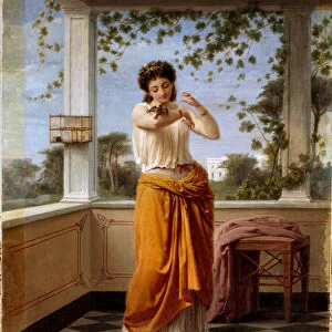 The fugitive Young woman in a neoclassical decor, a small bird escapes from his cage is