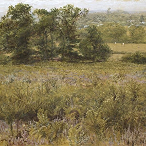 The Furze Field, 19th century (watercolour)