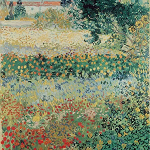 Garden in Bloom, Arles, July 1888 (oil on canvas)